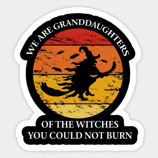 We are granddaughters of the witches you could not Sticker